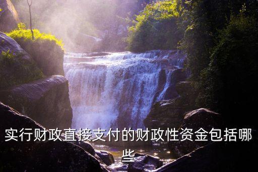 實(shí)行財(cái)政直接支付的財(cái)政性資金包括哪些