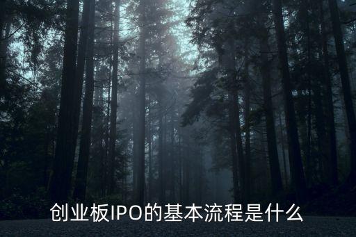 創(chuàng)業(yè)板上市流程，創(chuàng)業(yè)板的發(fā)行制度