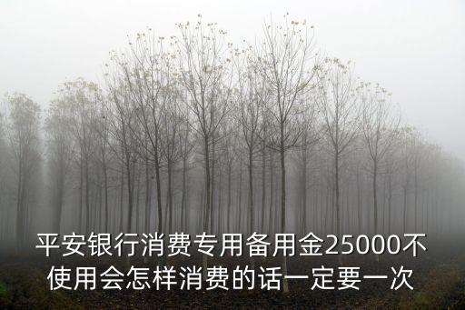 平安銀行消費(fèi)專用備用金25000不使用會怎樣消費(fèi)的話一定要一次