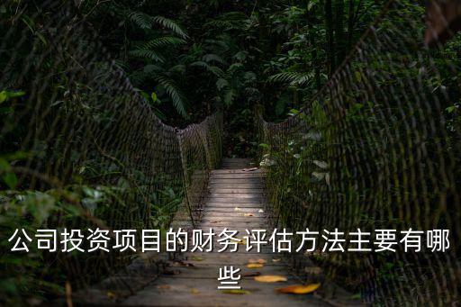 公司投資項(xiàng)目的財(cái)務(wù)評(píng)估方法主要有哪些