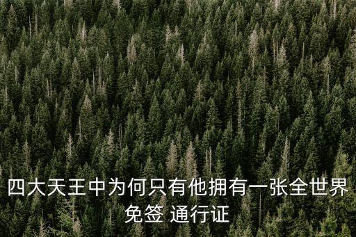聯(lián)合國通行證