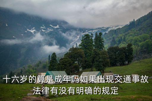 16歲算不算成年，16歲算成年不