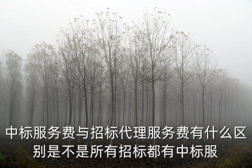 中標(biāo)服務(wù)費(fèi)，北京中標(biāo)服務(wù)費(fèi)應(yīng)該怎么收