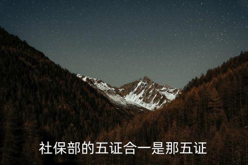 五證合一是哪五證，五證合一具體是什么意思
