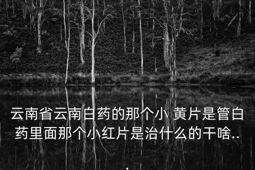 黃片3