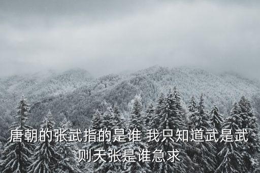張武，唐朝的張武指的是誰 我只知道武是武則天張是誰急求