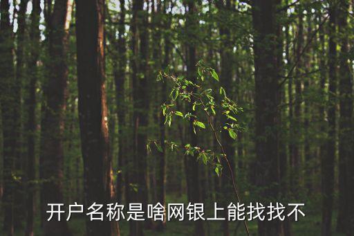 開戶名，開戶名開戶支行是啥意思