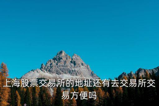 上海股票交易所的地址還有去交易所交易方便嗎