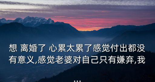 想 離婚了 心累太累了感覺付出都沒有意義,感覺老婆對自己只有嫌棄,我...