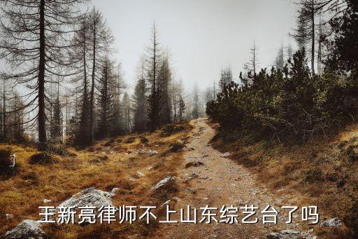王新亮律師不上山東綜藝臺(tái)了嗎