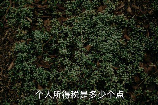  個人所得稅是多少個點