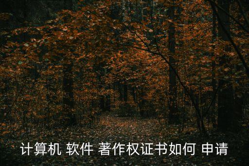 軟件著作權(quán)申請(qǐng)