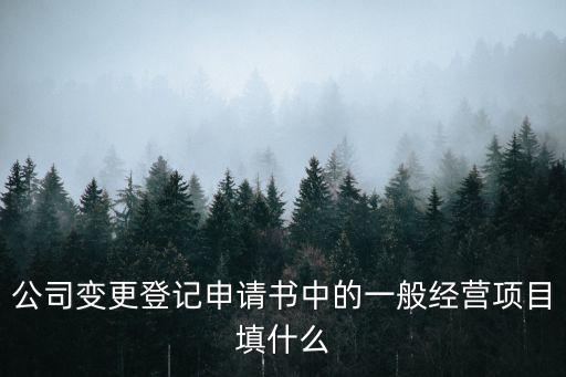 公司變更登記申請書中的一般經(jīng)營項目填什么