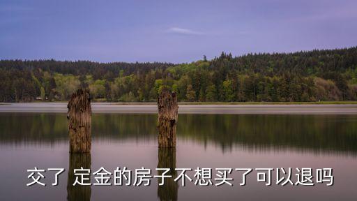  交了 定金的房子不想買了可以退嗎