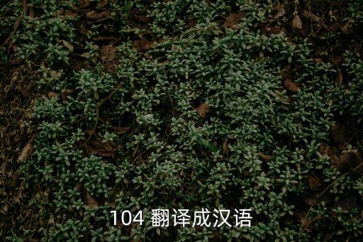 104是什么意思，104 翻譯成漢語