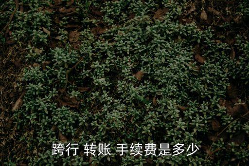  跨行 轉(zhuǎn)賬 手續(xù)費(fèi)是多少