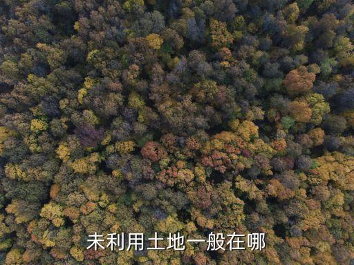 未利用土地一般在哪