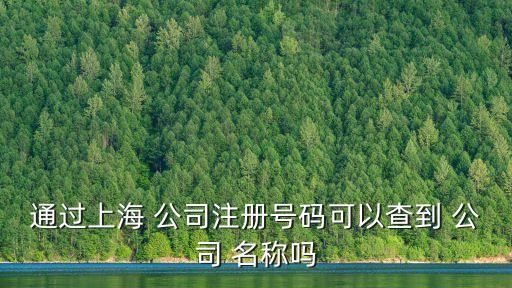 通過上海 公司注冊號碼可以查到 公司 名稱嗎
