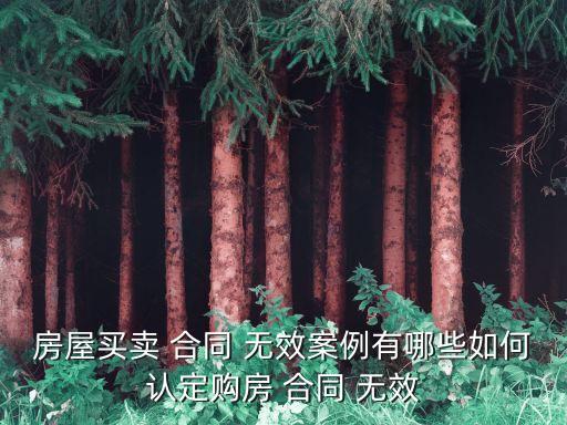 無效合同的例子,房屋租賃無效合同的例子
