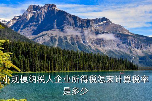 小規(guī)模納稅人企業(yè)所得稅怎末計(jì)算稅率是多少