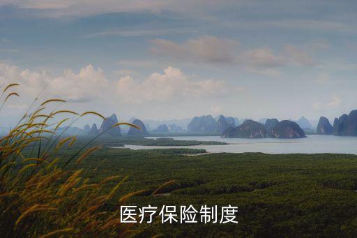 醫(yī)療保險法，醫(yī)療保險制度