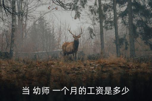 幼師一個(gè)月多少錢,備案制幼師一個(gè)月多少錢