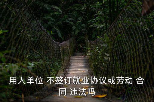 用人單位 不簽訂就業(yè)協(xié)議或勞動(dòng) 合同 違法嗎