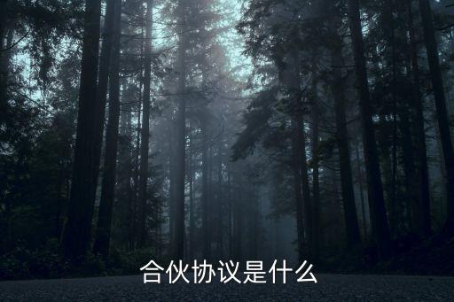 合同法中的合伙合同,合伙法律定義