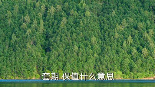  套期 保值什么意思
