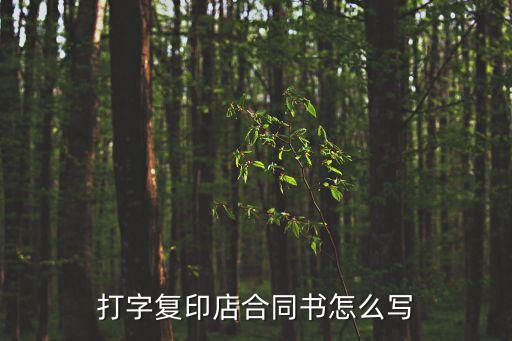 復(fù)印機(jī)租賃合同，解除復(fù)印機(jī)打印機(jī)租賃合同申請(qǐng)書哪位有啊