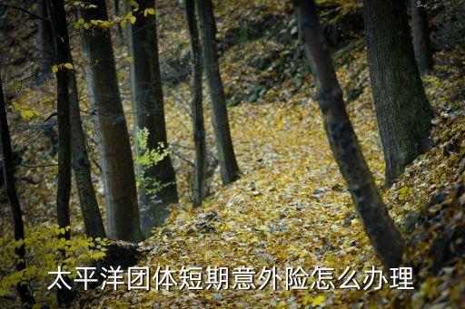 太平洋團(tuán)體短期意外險(xiǎn)怎么辦理