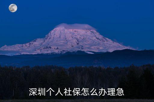 深圳社會保險，深圳個人社保怎么辦理急