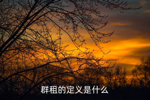 上海群租房定義，上海40平一室一廳2人住兩人認識算群租嗎條款里說不得