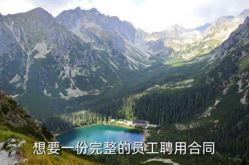 聘用合同書，想要一份完整的員工聘用合同