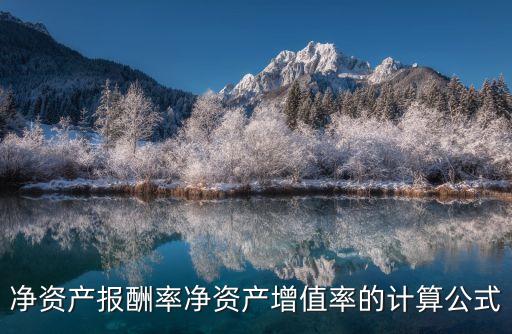 凈資產(chǎn)報酬率凈資產(chǎn)增值率的計算公式