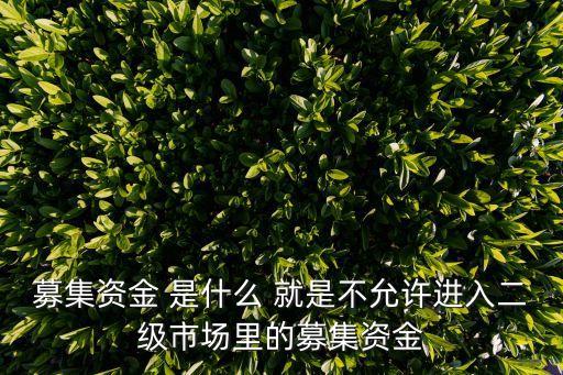 募集資金 是什么 就是不允許進(jìn)入二級(jí)市場(chǎng)里的募集資金