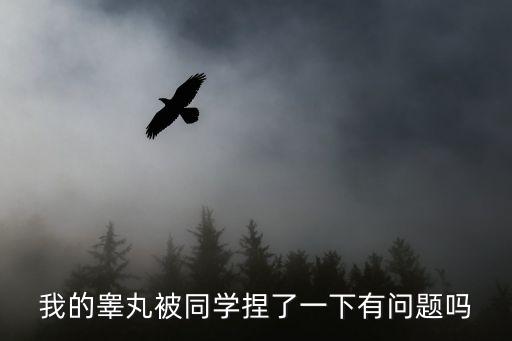 我的睪丸被同學(xué)捏了一下有問題嗎