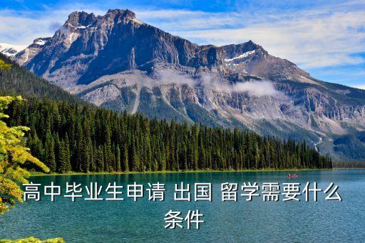 高中畢業(yè)生申請(qǐng) 出國(guó) 留學(xué)需要什么 條件