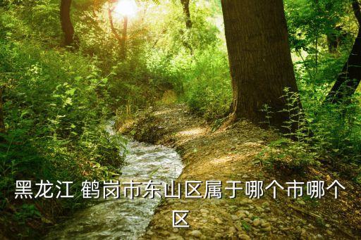 鶴崗礦務(wù)局,黑龍江鶴崗礦務(wù)局