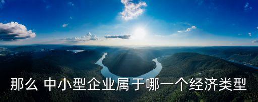 企業(yè)經(jīng)濟類型，那么 中小型企業(yè)屬于哪一個經(jīng)濟類型