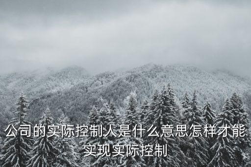 實際控制權，公司的實際控制人是什么意思怎樣才能實現實際控制