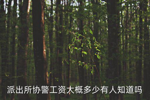 協(xié)警工資，派出所協(xié)警工資多少