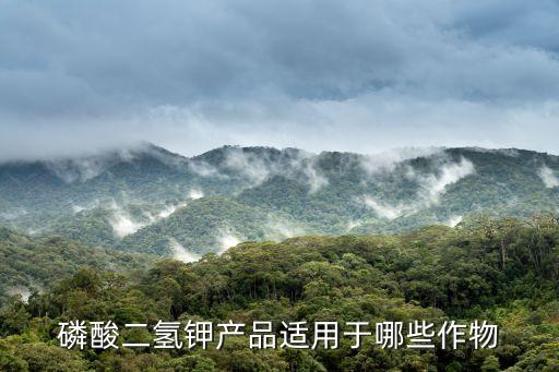產(chǎn)品適用，什么樣的產(chǎn)品適用廣告策略
