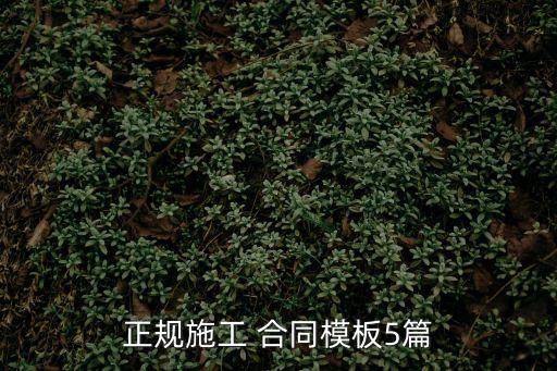 正規(guī)施工 合同模板5篇