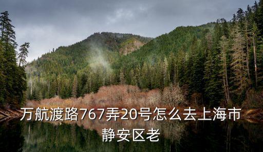 靜安麗舍，萬航渡路767弄20號怎么去上海市靜安區(qū)老