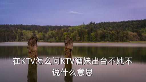 在KTV怎么問(wèn)KTV酒妹出臺(tái)不她不說(shuō)什么意思