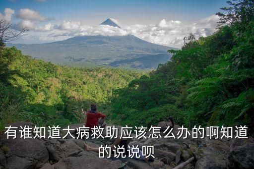 有誰知道大病救助應(yīng)該怎么辦的啊知道的說說唄