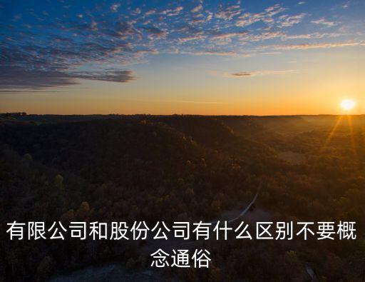 有限公司和股份公司有什么區(qū)別不要概念通俗