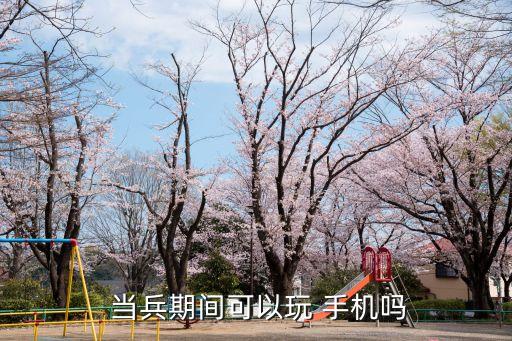 當兵能不能玩手機,當兵有女朋友要上報嗎