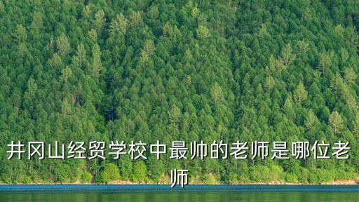 井岡山經(jīng)貿(mào)學(xué)校中最帥的老師是哪位老師